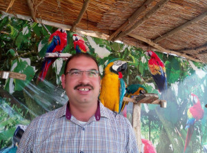 Mohamed elsayed wahba